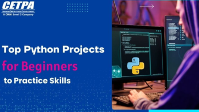 Top Python Projects for Beginners to Practice Skills
