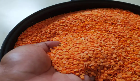 Smart Grocery Shopping Tips for Finding the Best Quality Masoor Dal