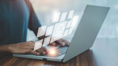 State Representation and World Modeling: How an Agent Constructs and Updates Its Internal Understanding of the Operating Environment