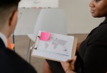 executive sector insights report