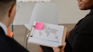 executive sector insights report