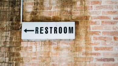 conversion engine and digital guide