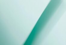 digital echo fusion device