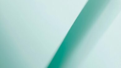 digital echo fusion device