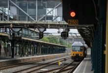 echo signal nova bridge