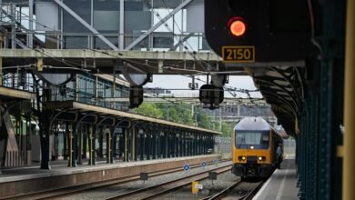 echo signal nova bridge