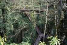 endless possibilities ahead