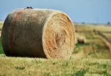 horizon core expansion module