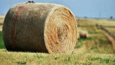 horizon core expansion module