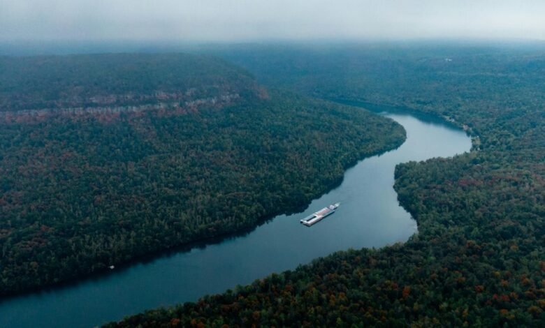 horizon flow growth path