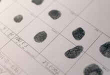 identification report summary issued