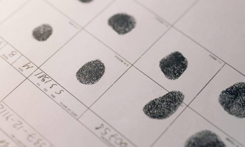 identification report summary issued