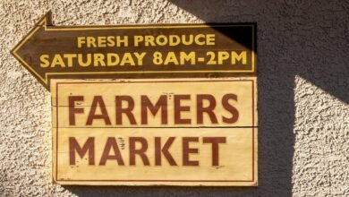 market engine marketing guide overview