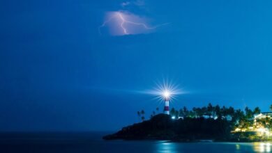 omega surge growth beam