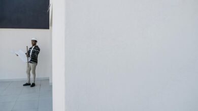 online authority growth plan 2159873706