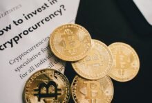 online maximizer growth guide 2192506835