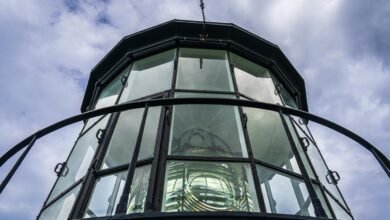 elevate online lens beacon