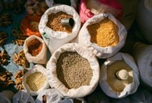 expand market pulse horizon