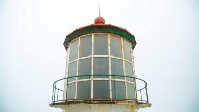 reach 7075090519 lens beacon