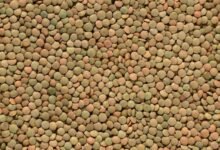 strengthen conversions pulse lens