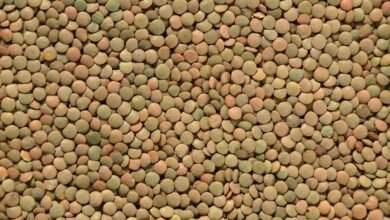 strengthen conversions pulse lens