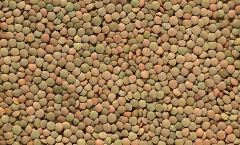 strengthen conversions pulse lens