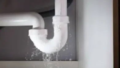 What Happens When Showers Leak And Damage Structures