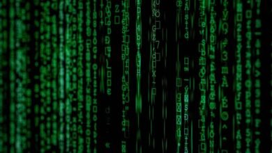 high level data flow verification