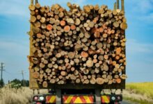 next generation system integrity logs