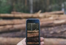 secure phone numbers list detected