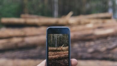 secure phone numbers list detected
