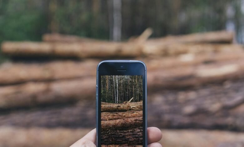 secure phone numbers list detected