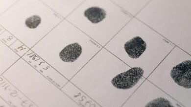 structured profile examination record for multiple ids