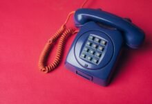 list of phone numbers provided