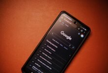 phone numbers and ids listed