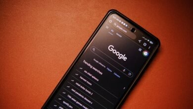 phone numbers and ids listed