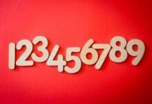 phone numbers for verification list