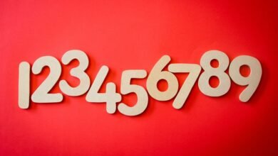 phone numbers for verification list