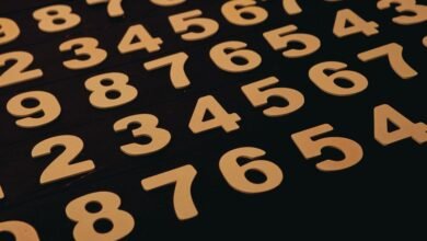 phone numbers for verification listed