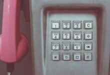 phone numbers from registry lookup results