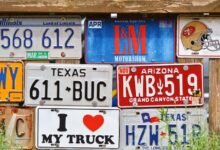 public registry findings identifiers listed