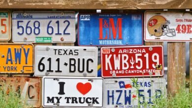public registry findings identifiers listed
