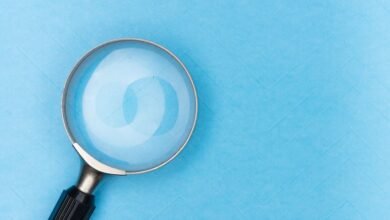 registry ids search insights four numbers listed