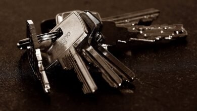 registry lookups for specific numeric entries