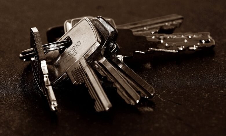 registry lookups for specific numeric entries
