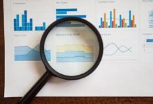 registry verification insights multiple ids