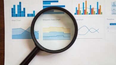 registry verification insights multiple ids
