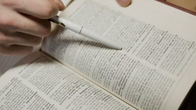 review numbers five references provided