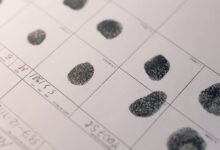 track registry ids and findings